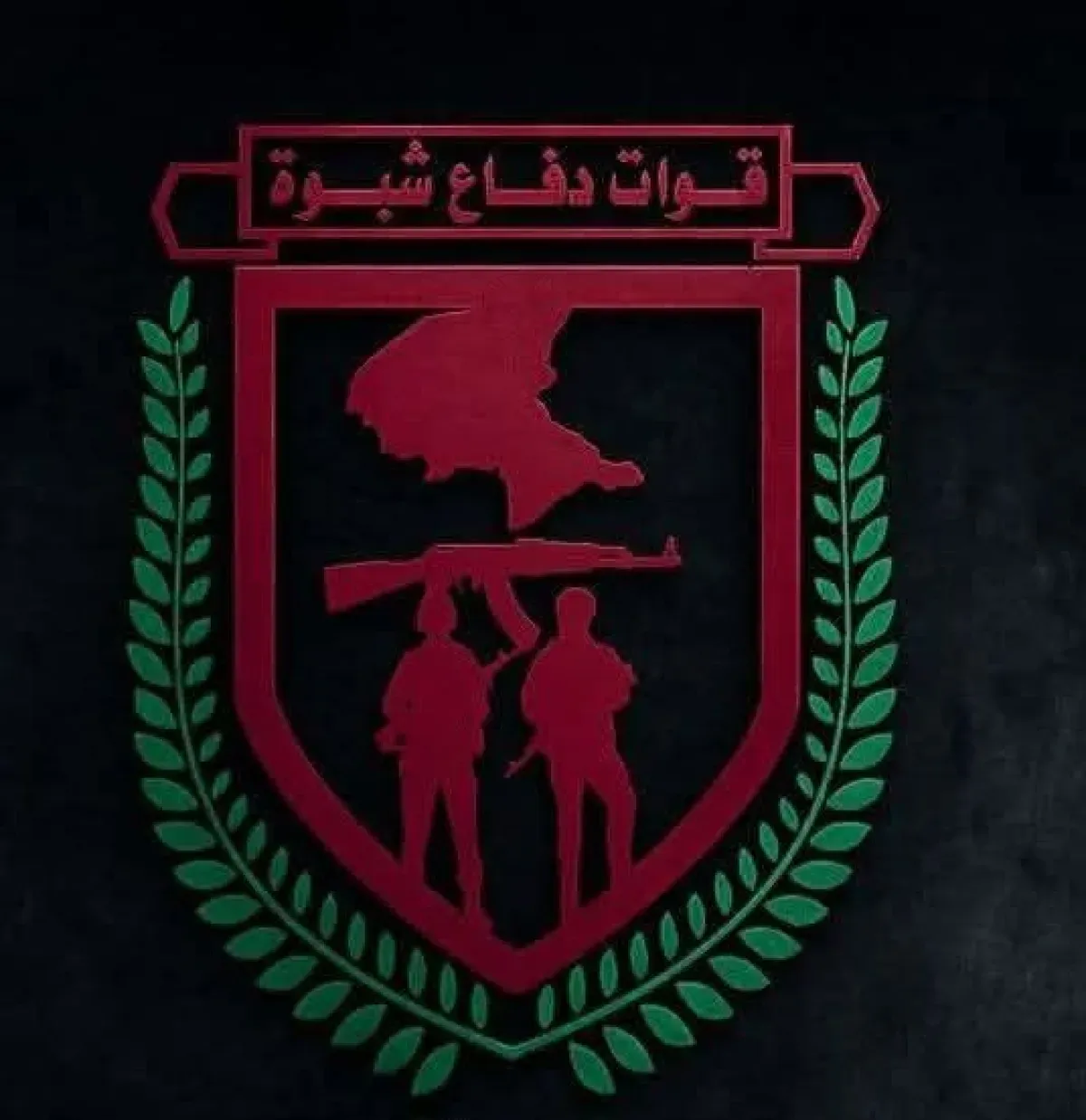 Shabwah Defense Forces Repel Houthi Incursions, Conduct Drone Strikes